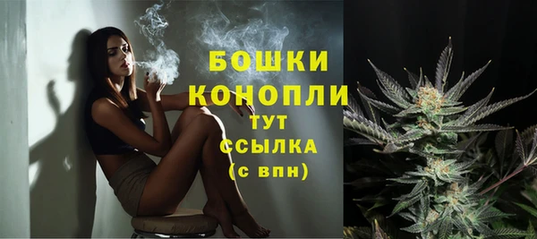 МДПВ Михайлов