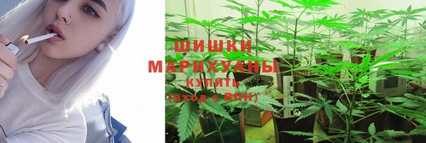 ГАЛЛЮЦИНОГЕННЫЕ ГРИБЫ Михайловск