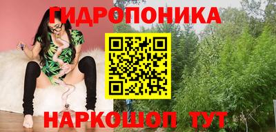 амф Заволжье