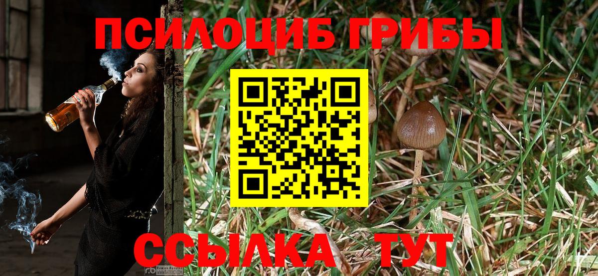 Галлюциногенные грибы GOLDEN TEACHER  Галлюциногенные грибы прущие грибы  Кызыл 